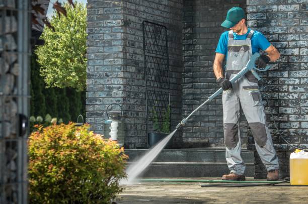 Animal Enclosure Cleaning in Huntley, IL