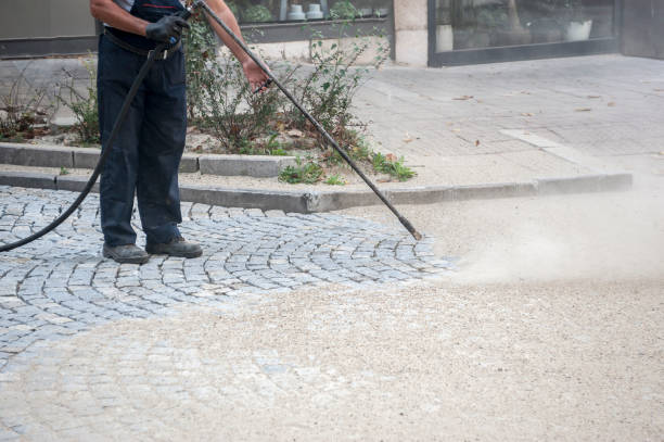Best Warehouse Cleaning  in Huntley, IL